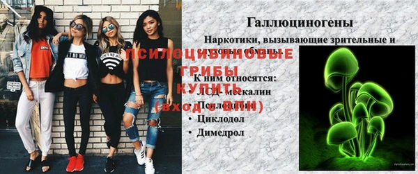 ПСИЛОЦИБИНОВЫЕ ГРИБЫ Абдулино