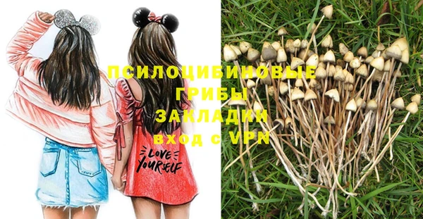 ПСИЛОЦИБИНОВЫЕ ГРИБЫ Абдулино