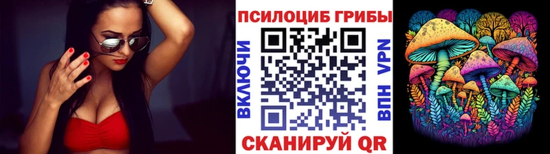 закладки  Кирсанов  Галлюциногенные грибы Magic Shrooms 